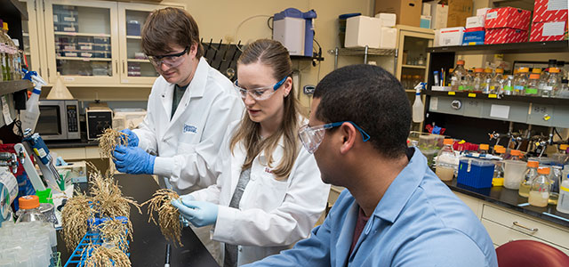 Graduate Students working in a lab